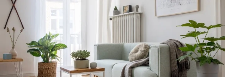 Modernes Wohnzimmer mit mintgrünem Sofa und vielen Pflanzen.